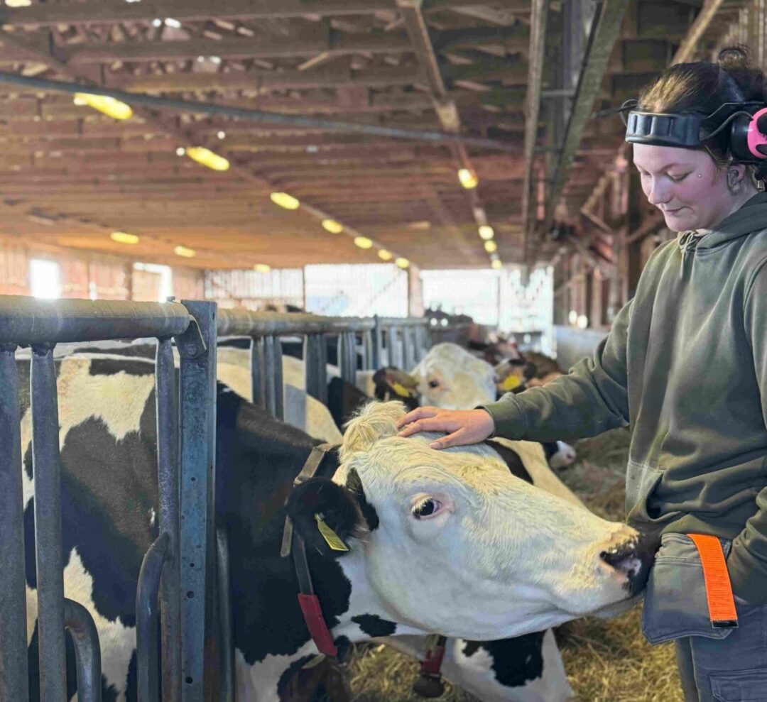 Angelina Kund Orginal_jpeg