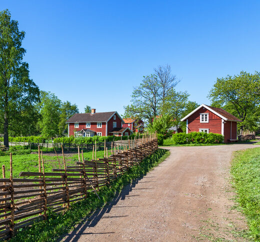 Rural environment with wooden fence beside the road