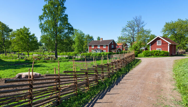 Rural environment with wooden fence beside the road