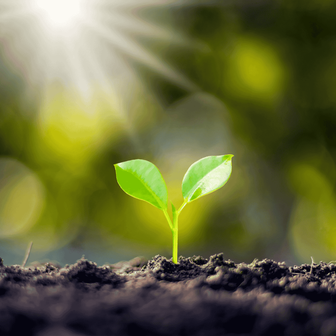 Website – Om Oss Timeline (2)