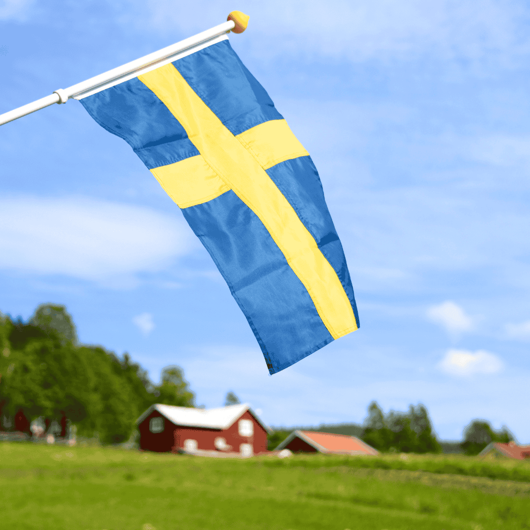 Website – Om Oss Timeline (4)