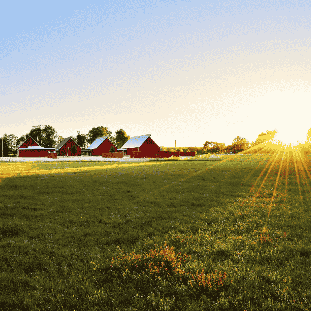 Website – Om Oss Timeline (6)