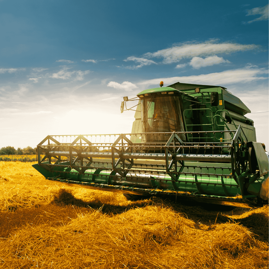 Website – Om Oss Timeline (8)