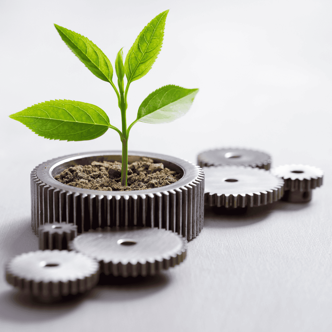 Website – Om Oss Timeline (9)