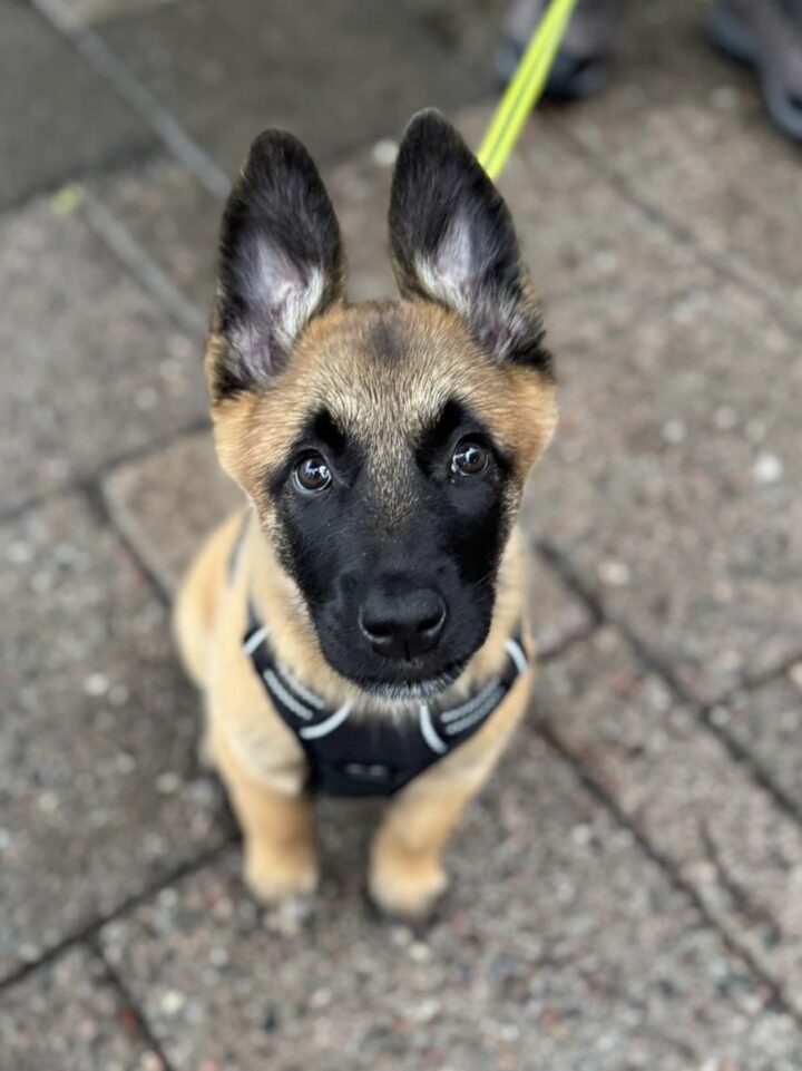 bfad8eef-2e63-4bfe-bd89-343c66b083f1